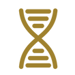 Promotes Stem Cell Activity